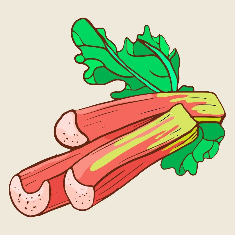 Rhubarbe commun Krauser
