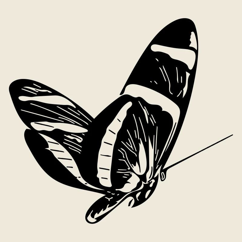 Schmetterling