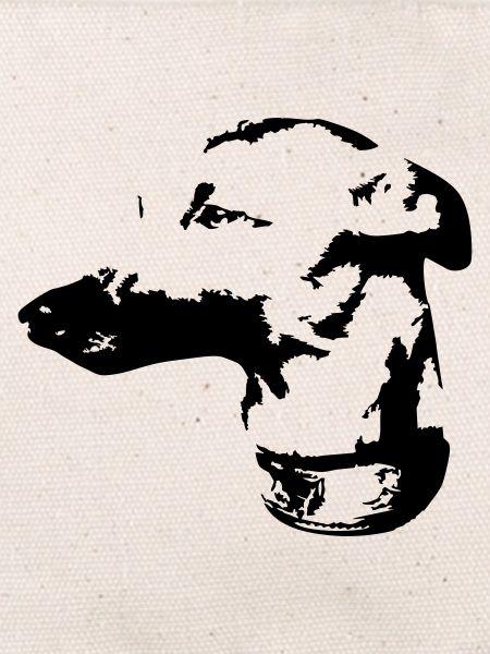 Whippet Kopf