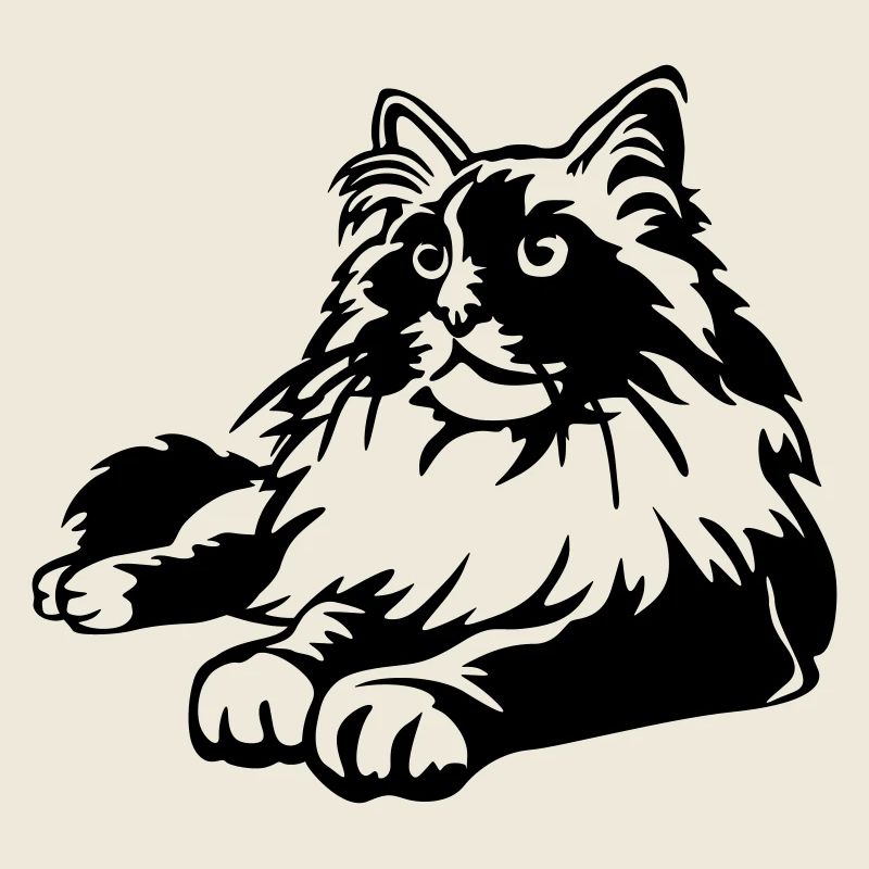 Ragdoll Katze