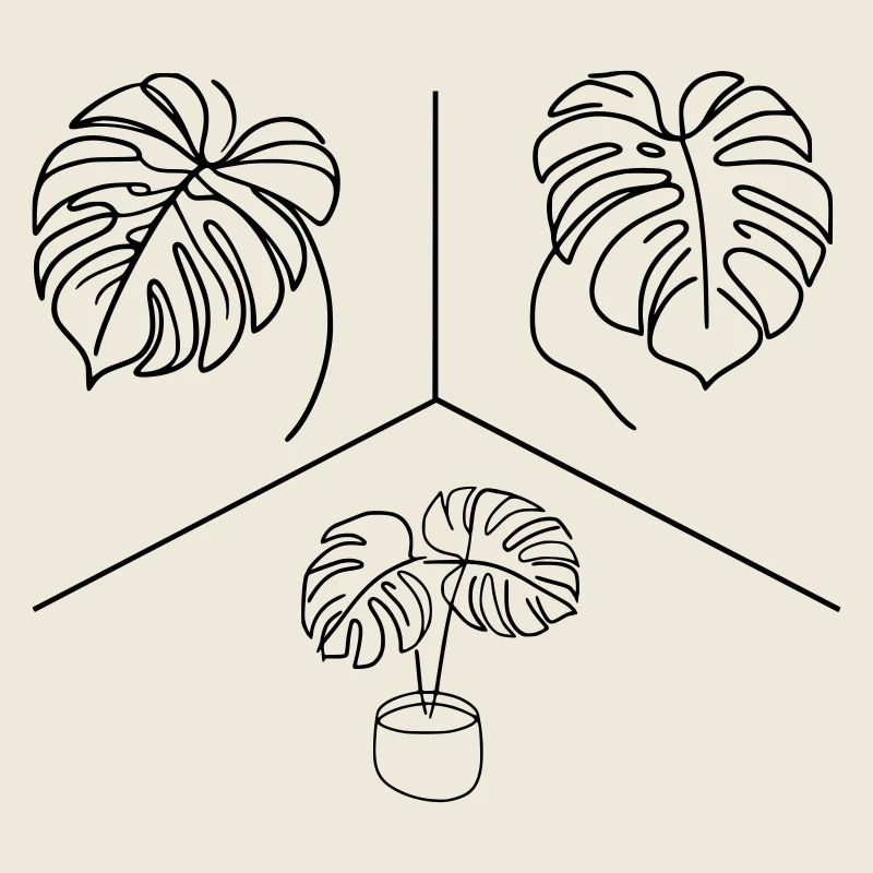 Monstera Design