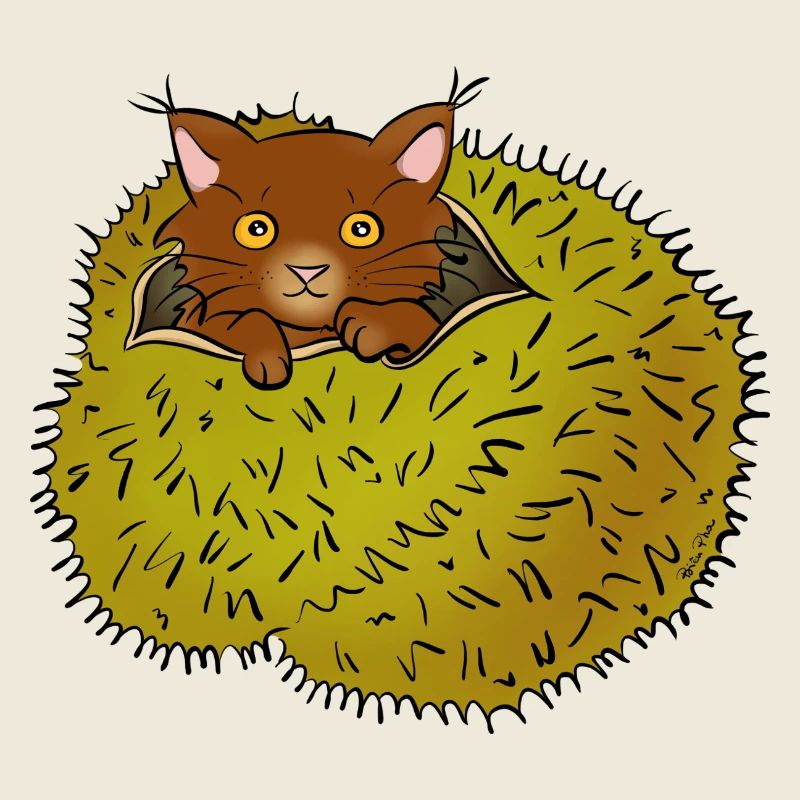 Spinnenkatze
