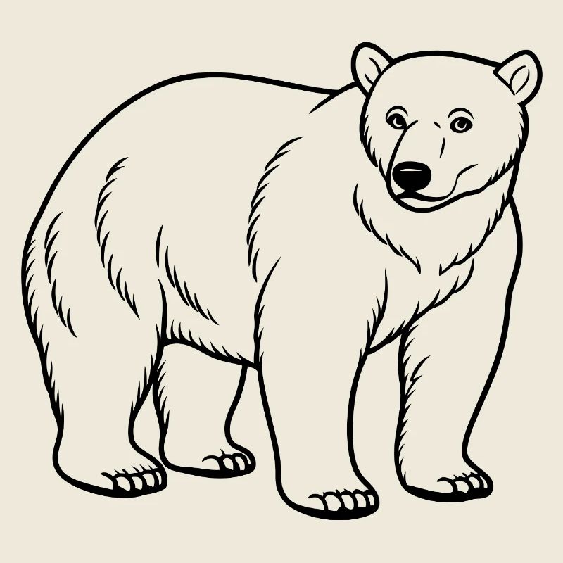 Ours polaire