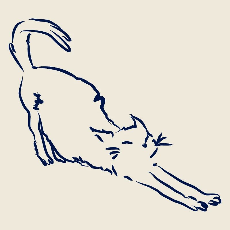 Cat stretches