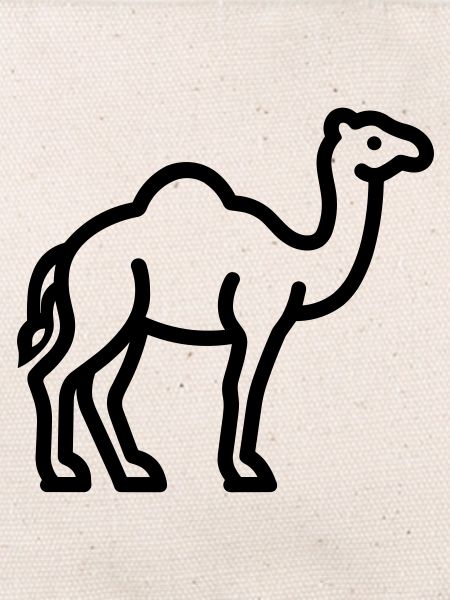 camel