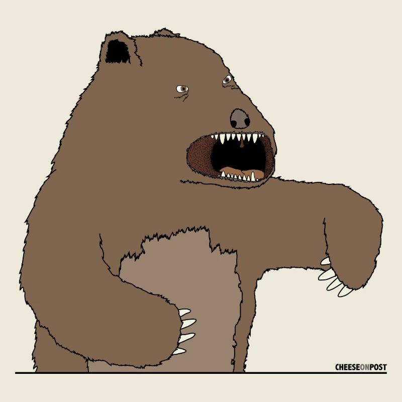 bear!