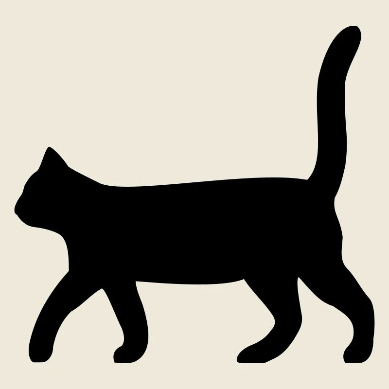 schwarze Katze