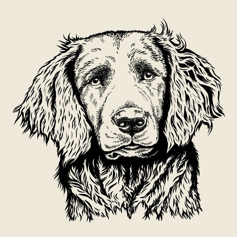 Portrait de caille