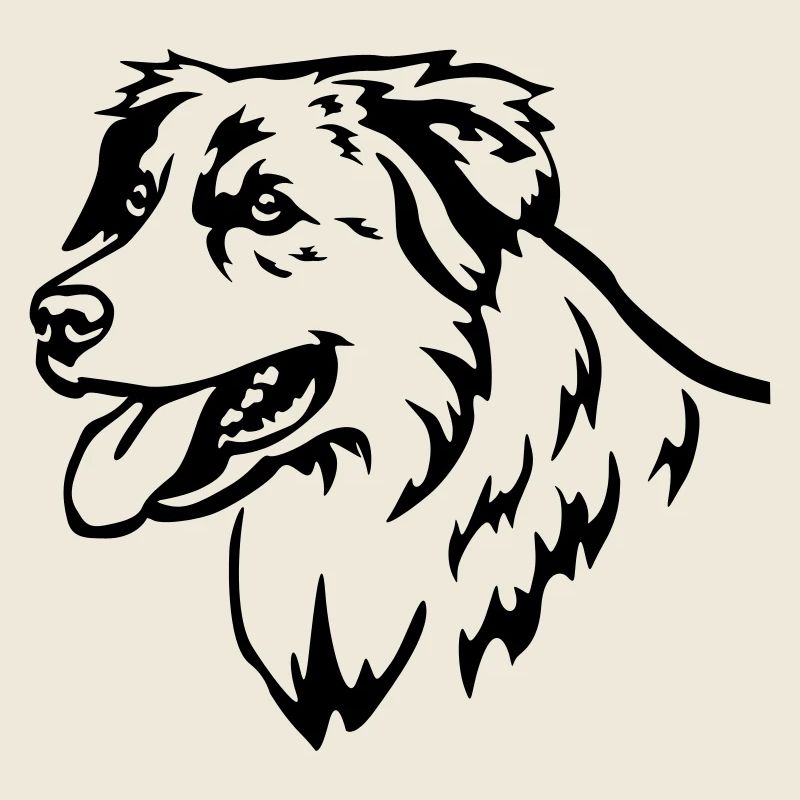 Australian Shepherd Head