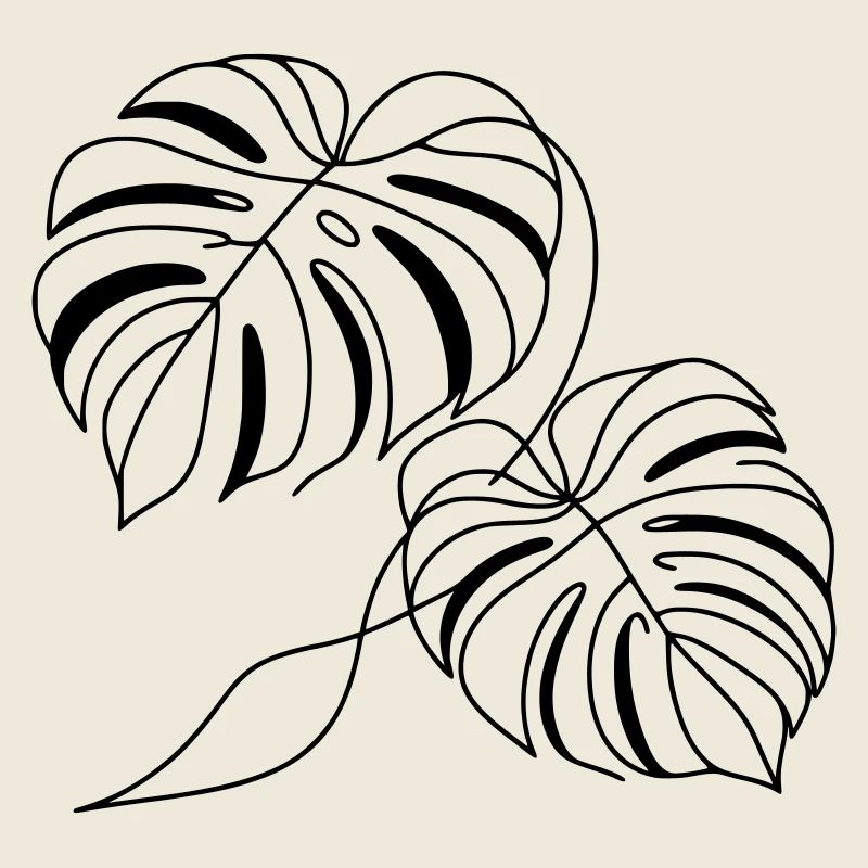 Monstera