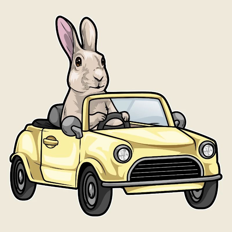 Rabbit Car