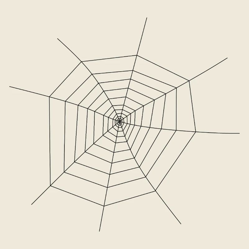 Spider Web