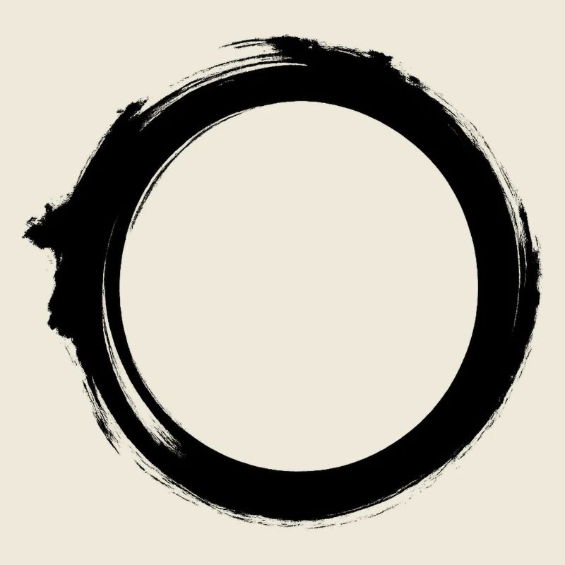 Black Hole Universe Silhouette Minimal Physics