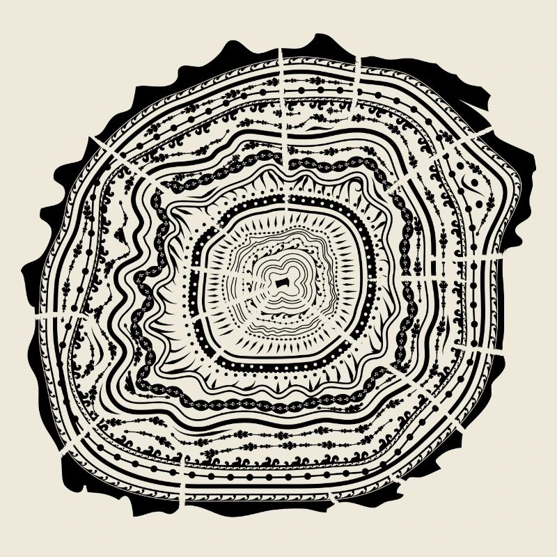 Holzscheibe mit Rinde - Baumringe