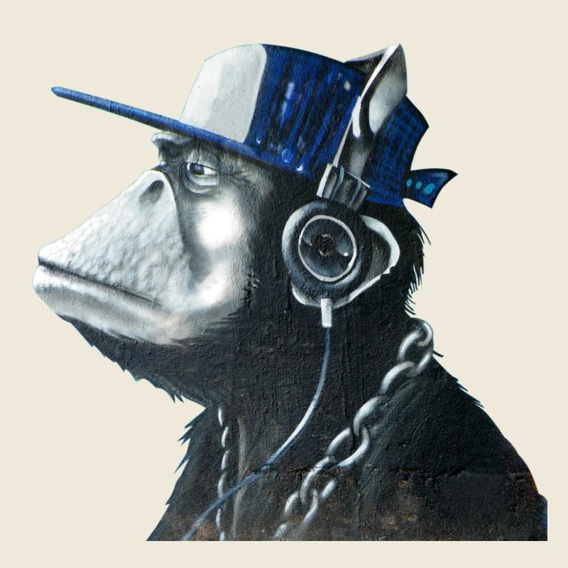 Monkey graffiti by CustomStyle