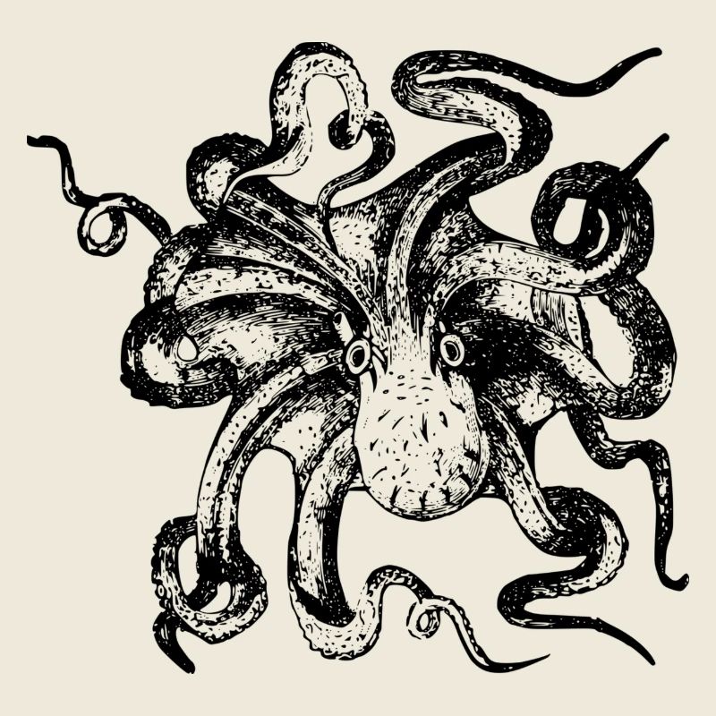 octopus