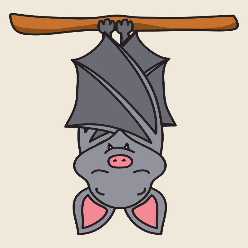chauve-souris