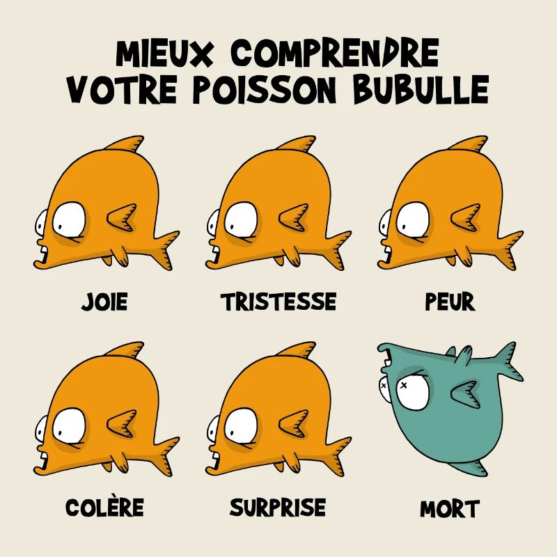 Mieux_comprendre_bubulle