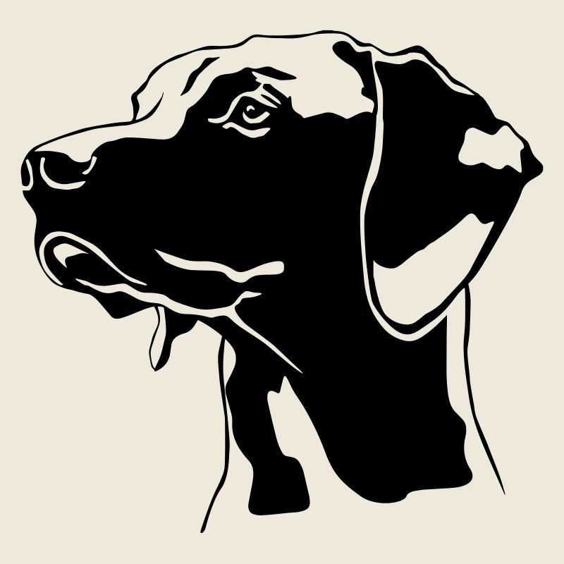 Tête de Magyar Vizsla
