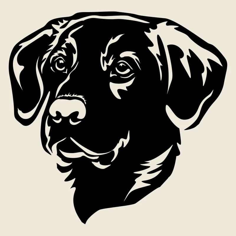 Labrador Kopf