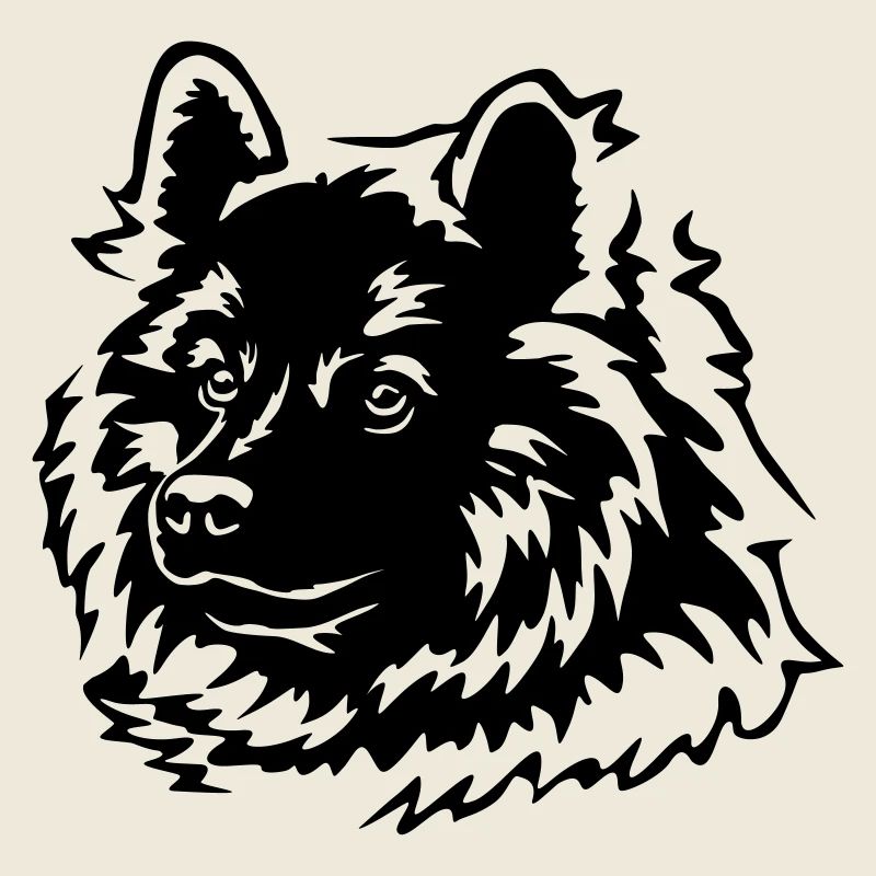 Eurasier Kopf