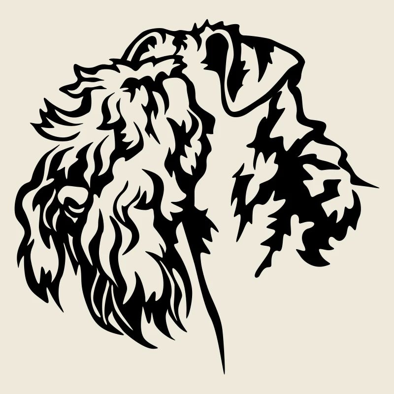 Kerry Blue Terrier Kopf