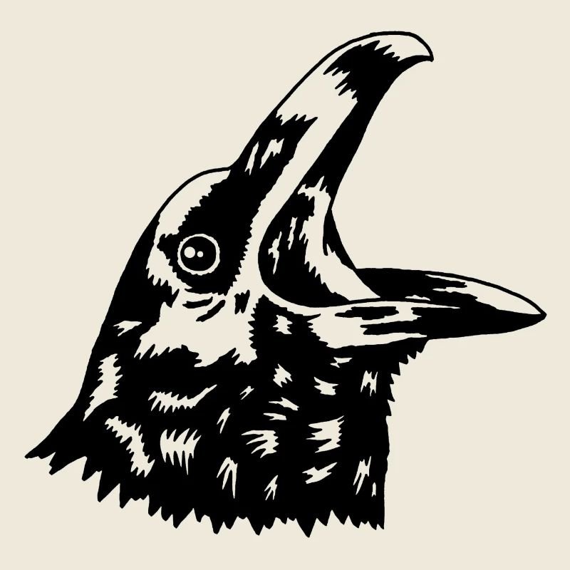 Krähe