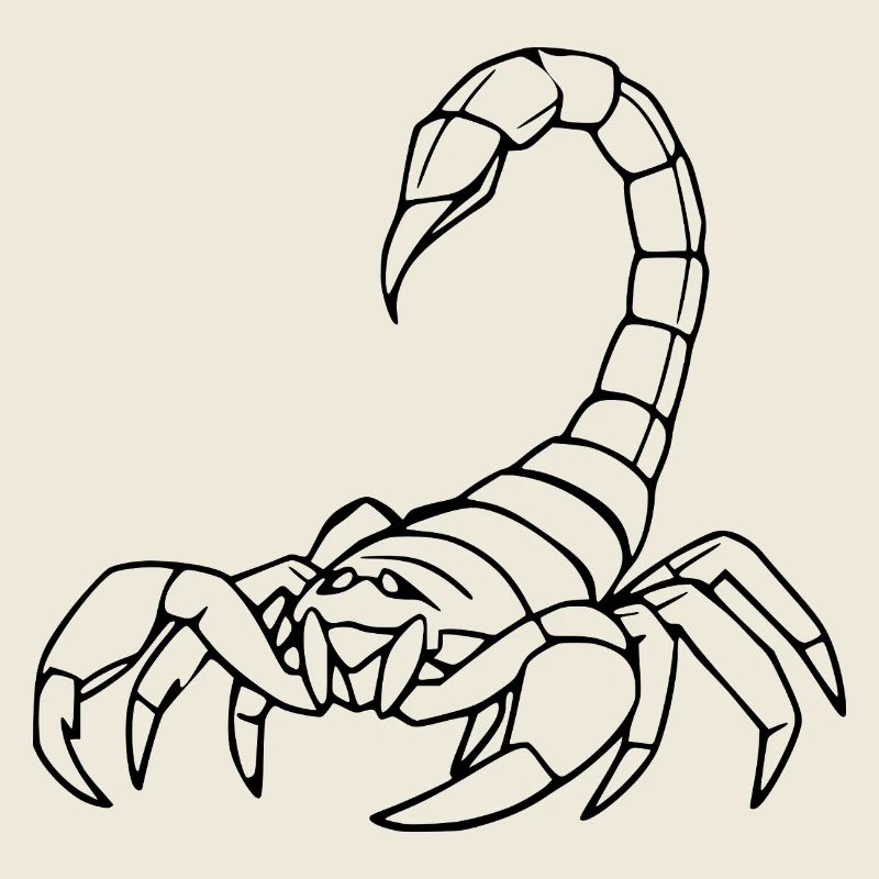 Skorpion Sternzeichen T-shirt Geschenk