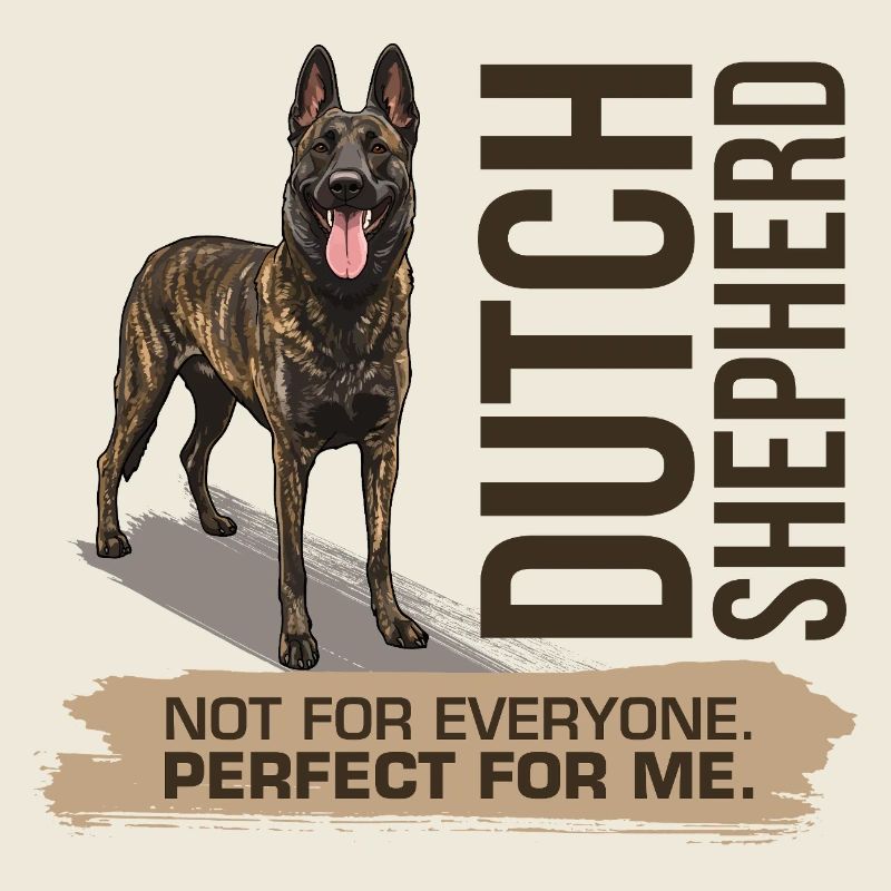 Berger hollandais - Dutchie