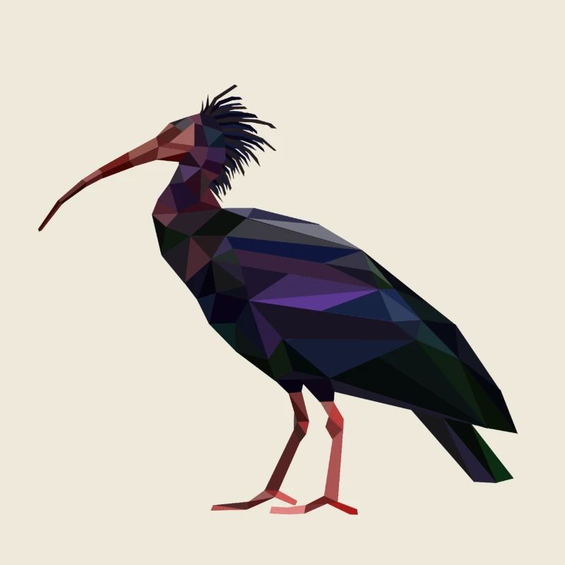 Waldrapp