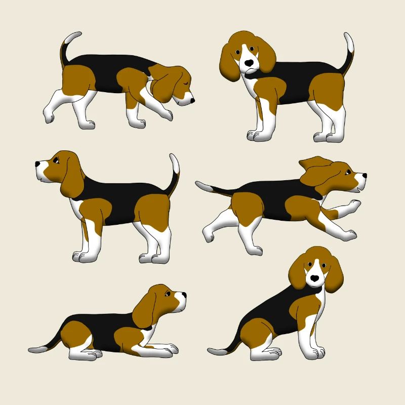 Beagle selection