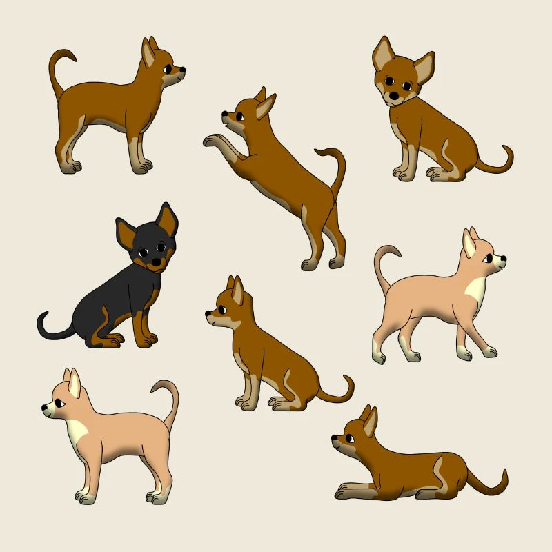 Chihuahua