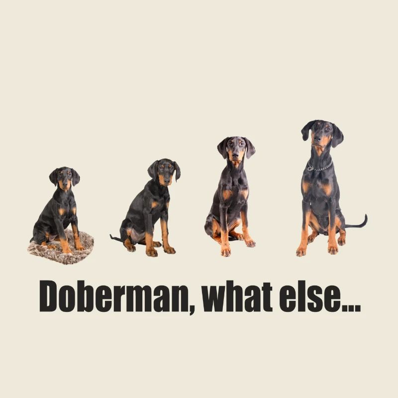 Doberman, what else ...