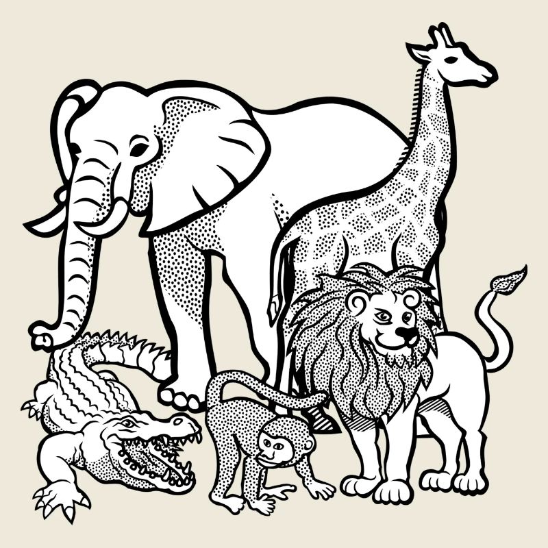 Africa animals