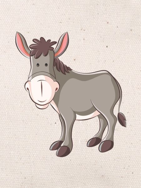 baudet