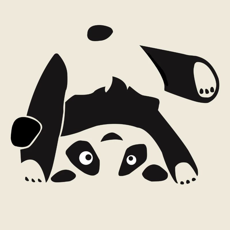 Panda, Bär