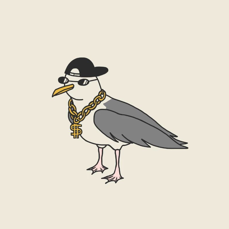 Rapper seagull