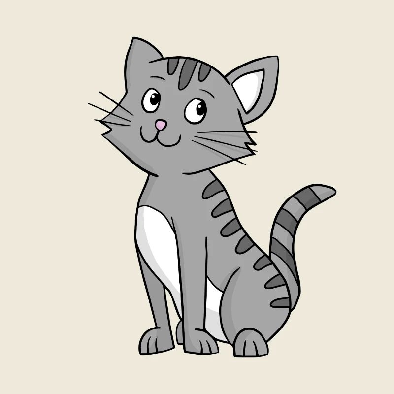 Chat gris