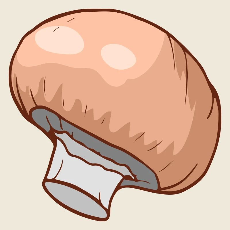Champignons Egerlinge Angerlinge champignons