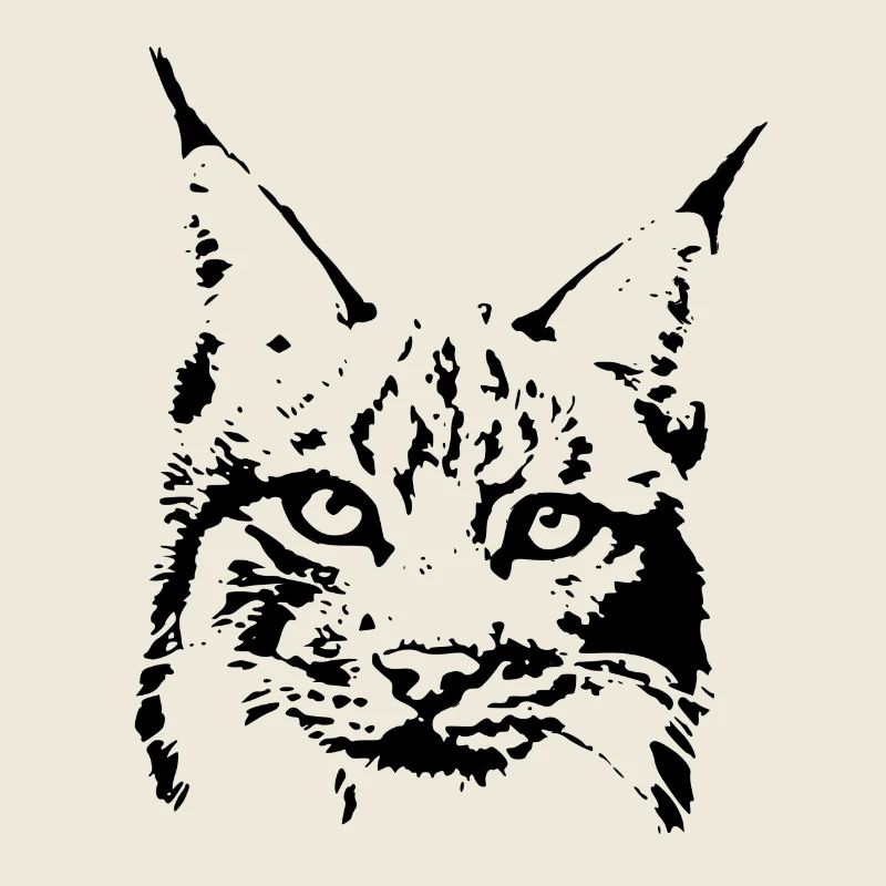 lynx cougar lion wildcat bobcat cat wild hunter