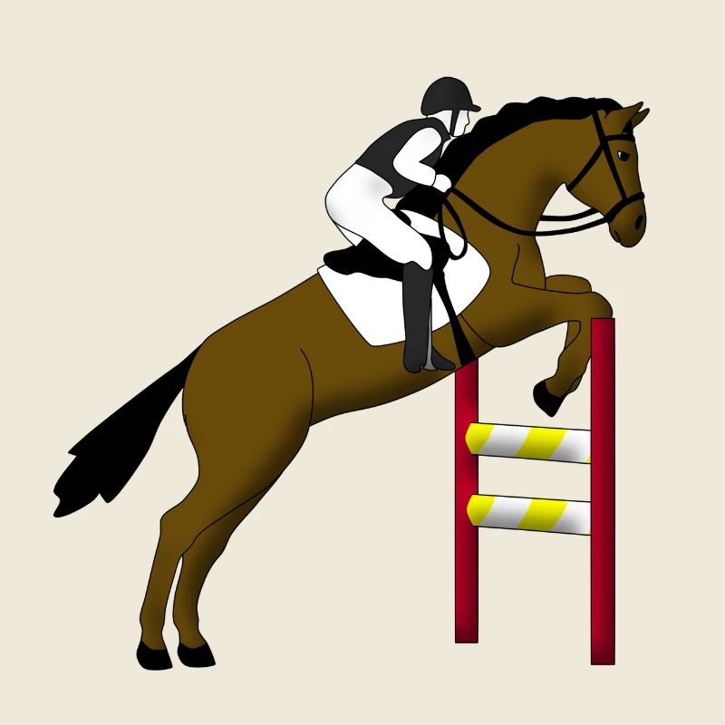 Springreiten 1