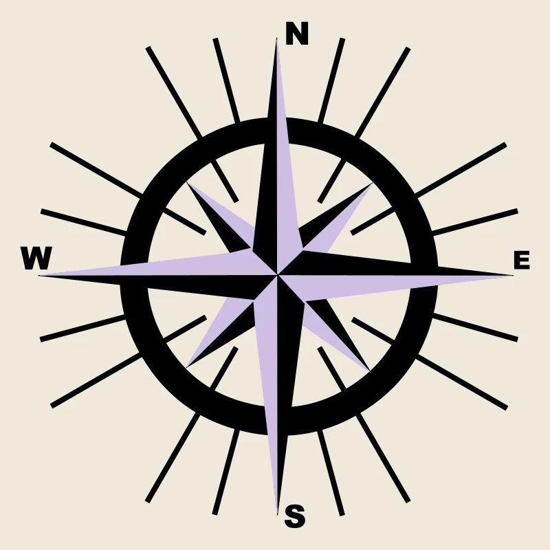 Compass nautique