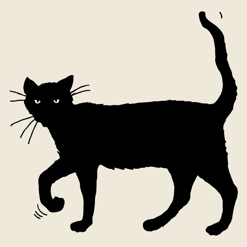 Schwarze Katze