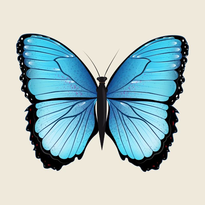 blue butterfly hand drawn and colored