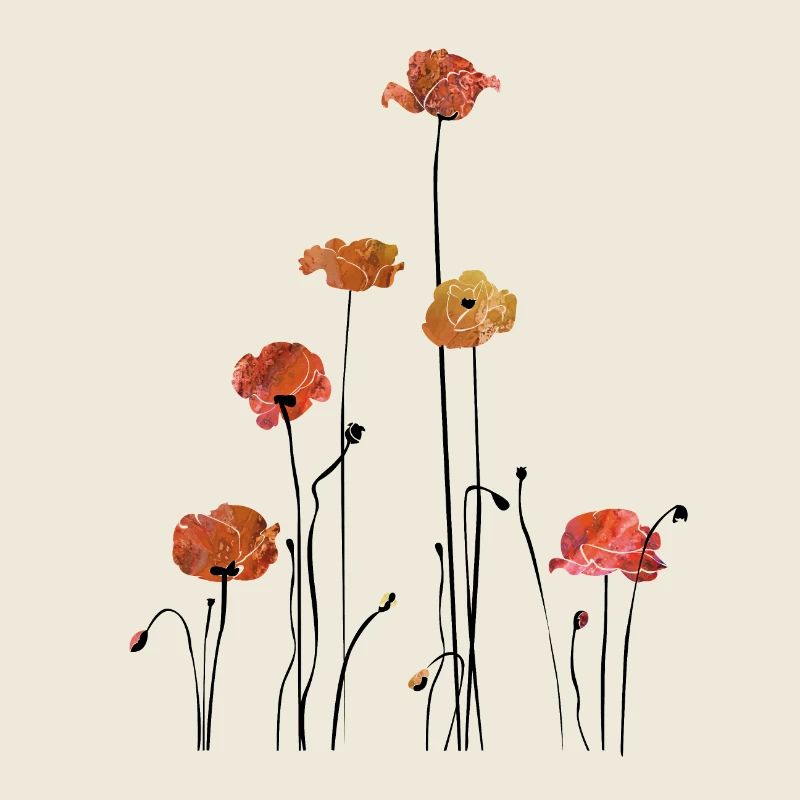Mohnblume Klatschmohn