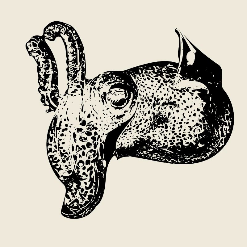 Vintage Cuttlefish