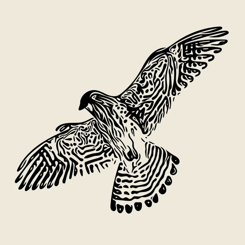 Falcon in flight