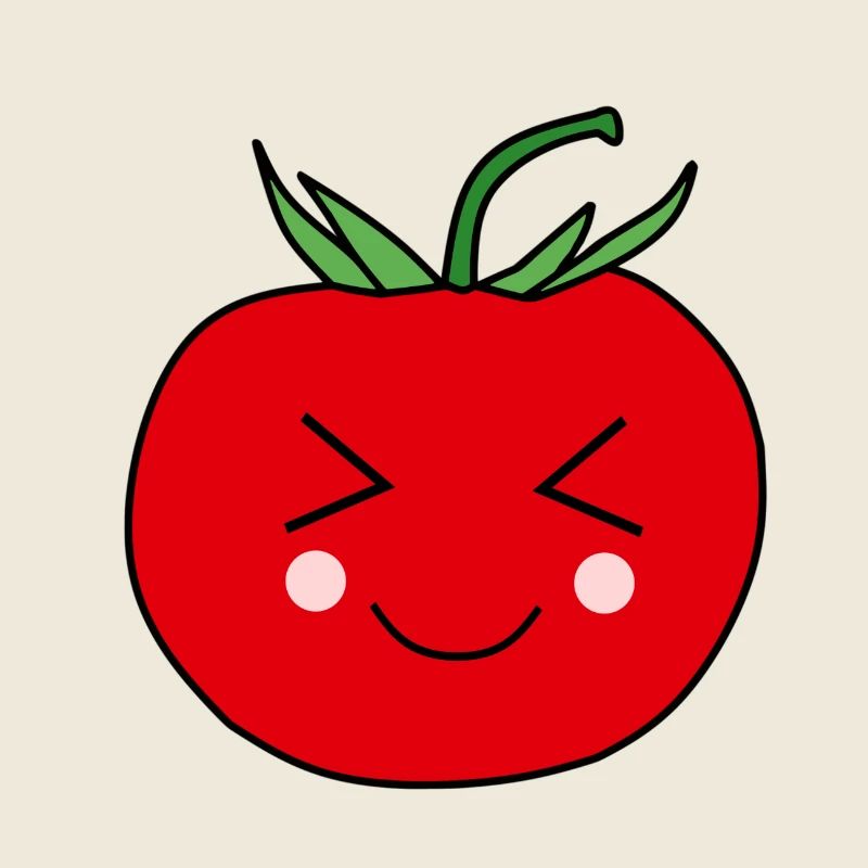 Cute Tomato Face Design Gift
