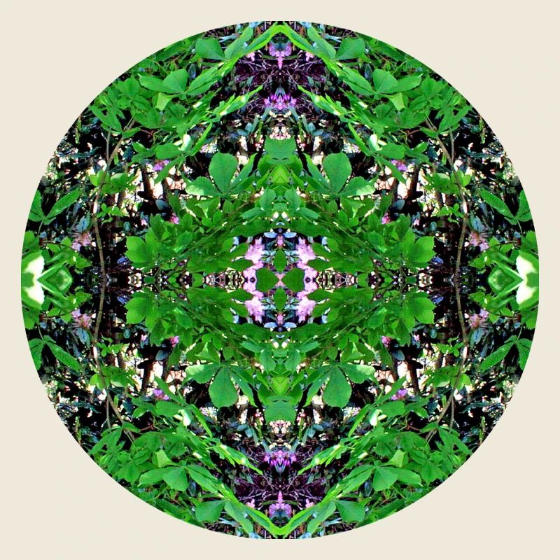 Nature Mandala Spring in Dennenlohe