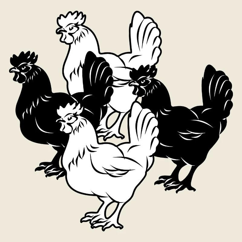 vier Hühner